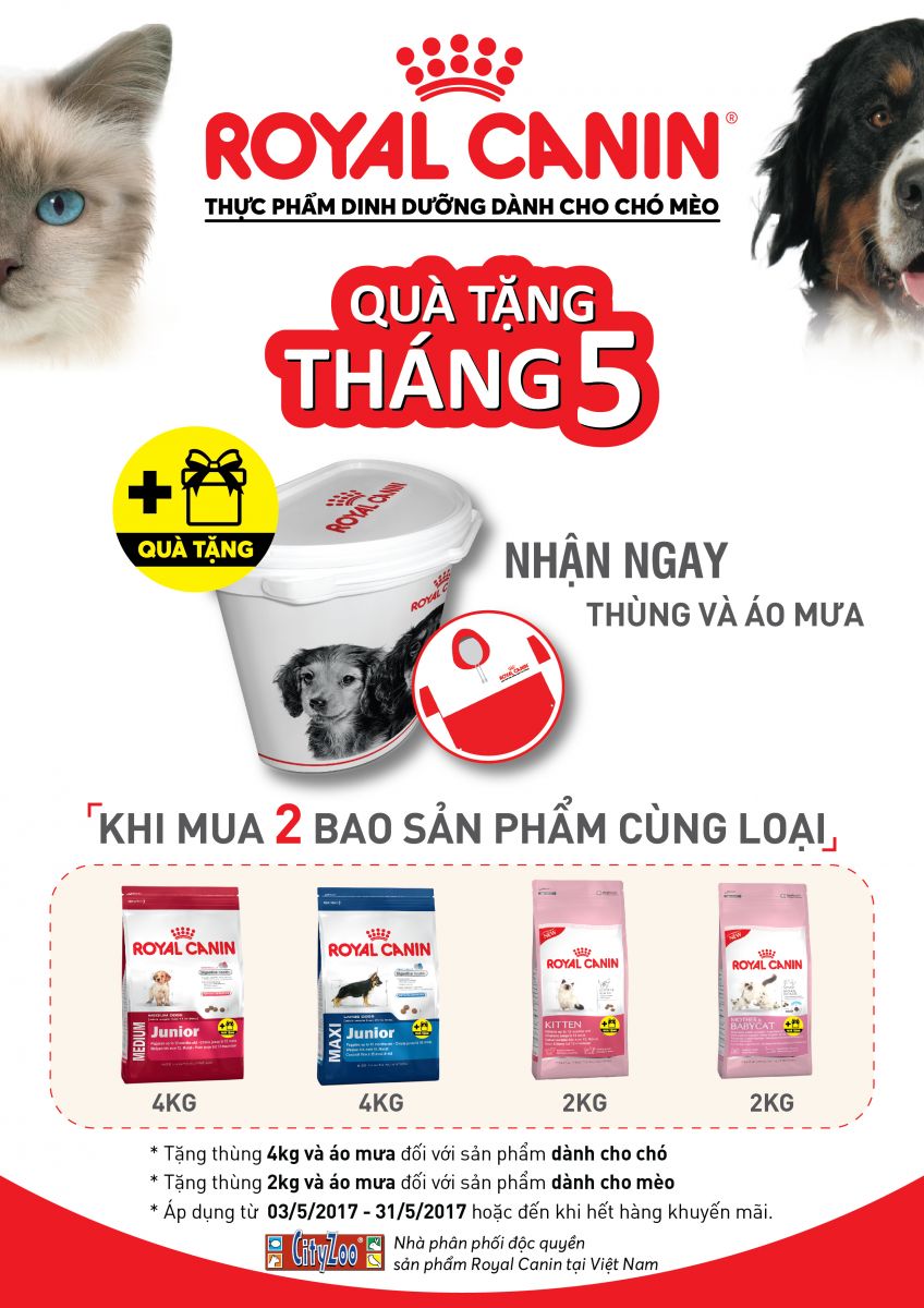 royal-canin-khuyen-mai