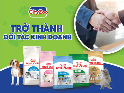 ĐĂNG KÝ ĐẠI LÝ