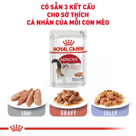 ROYAL CANIN INSTINCTIVE – MÈO TRƯỞNG THÀNH