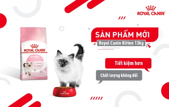 RA MẮT SẢN PHẨM ROYAL CANIN KITTEN 13KG