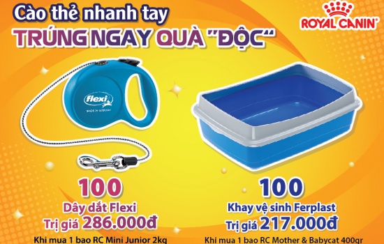 ROYAL CANIN: KHUYẾN MÃI THÁNG 12